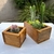 Maceta cajón con cactus - tienda online
