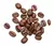 Café en Grano o Molido