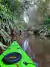 Aventura de Kayak en el Delta - comprar online