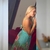 Vestido Longo Estampado Casual Primavera Verão - Privamera Modas