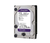 DISCO HDD 4TB WD PURPLE WD43PURZ VIDEOVIGILANCIA - comprar online