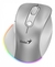 MOUSE GENIUS RS2 ERGO 9000S PRO SILVER - comprar online
