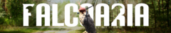 Banner da categoria Coletes