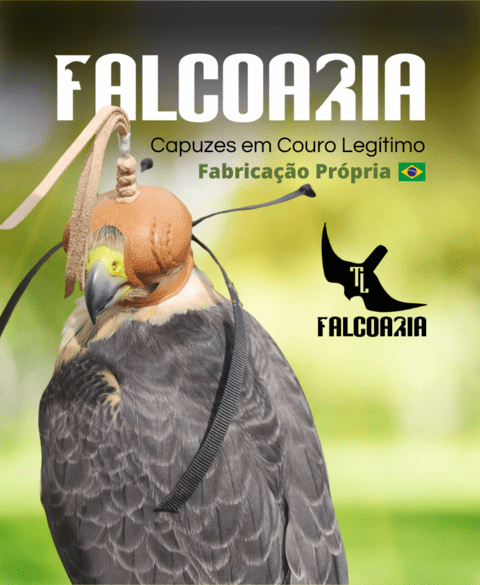 Carrusel TL Falcoaria