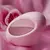 Perfume Mod Blush para Mujer de Ariana Grande EDP 100ML en internet