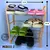 Zapatera rigida 4 niveles