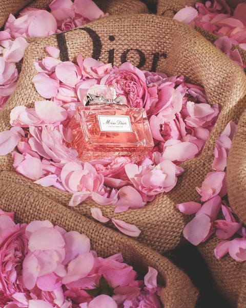 Miss dior absolutely blooming - comprar en línea