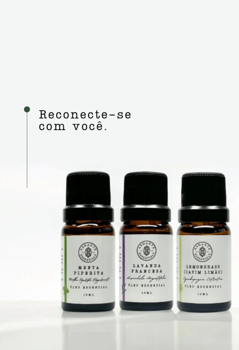 Carrossel 1