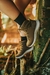 Imagem do Bota Adventure Cano Alto Macboot Batu 04 Marrom