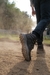Imagem do Bota Adventure Cano Alto Macboot Kabru 02 Café