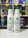 Progressiva Clássica 1L - HegelonLIss - comprar online