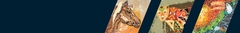 Banner da categoria Cid Vallim