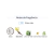 Body Splash - Coconut Passion (Dream Brand) - loja online