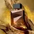 Natura Deo Parfum Essencial Palo Santo Masculino - 100ml - Maura Beauty