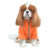 JAQUETA CLASSIC BEAR ORANGE - comprar online