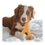BENEBONE WISHBONE FRANGO - Mali Pet Store