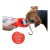 GARRAFA PET - FISHER PRICE - comprar online