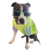 CAMISETA MY BEST FRIEND GREEN - comprar online