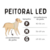 PEITORAL LED 3 FUNÇÕES na internet
