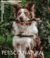 Banner de Mali Pet Store