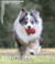 Banner de Mali Pet Store