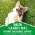 Dog Chow Humedo Adulto Todos los Tamaños Cordero 100 gr - comprar online