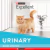 Excellent Urinary Gato - comprar online