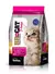 Br for Cat Gatitos