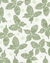 Kit 5 body verde Carter’s na internet