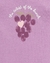 Kit 5 body uvas Carter’s na internet
