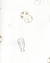 Imagem do Kit 7 body cookies Carter’s