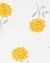 Trio bumbum amarelo Carter’s na internet