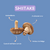 Extracto de Shiitake - 30ml. - comprar online