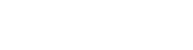 POSH STORE