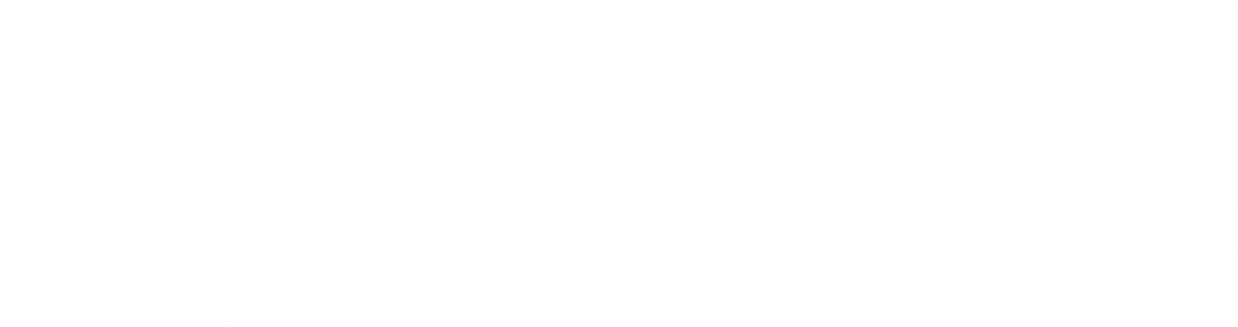 POSH STORE