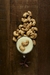 CASTANHA CARAMELIZADA COM LEITE CONDENSADO - comprar online