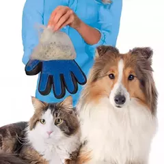 Luva Escova Nano Magnética Tira Pelos De Pet Cães E Gatos na internet