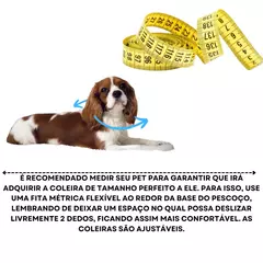 Coleira Colorida para Cachorro Ou Gato Adulto ou Filhote Pingente Pet na internet