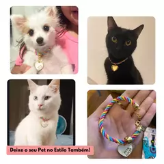 Coleira Colorida para Cachorro Ou Gato Adulto ou Filhote Pingente Pet - comprar online