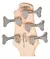 Contrabaixo Eletrico ( 5 Cordas ) Cort Action Bass V Plus Tr - comprar online