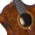 Violão Cort Maciço Luxe Nylon Com Fishman Flex Blend + Hard Case Signature Frank Gambale