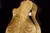 Violao Eletrico Cort Grand Auditorium Gold Edge All Solid Nat Com Case