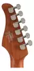 Guitarra Elétrica Stratocaster Cort G250Se Bk - comprar online
