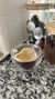 Taza Apapacho - comprar online