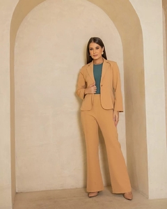 Blazer na internet