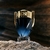 Invictus Parfum