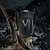 Invictus Victory 100ml ( Sem Caixa) na internet