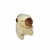 Capivara de Pelúcia Com Chaveiro Fizzy Toys Bege Teca - comprar online