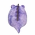 Bicho de Pelúcia Squishmallows Grande Sunny 2863 Dove - PLUFFIE