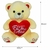 Urso de Pelúcia com Coração Declare seu Amor Ideal para Surpreender Quem Você Ama Melito